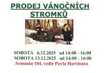 Prodej vánočních stromků 