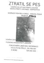 Ztratil se pes
